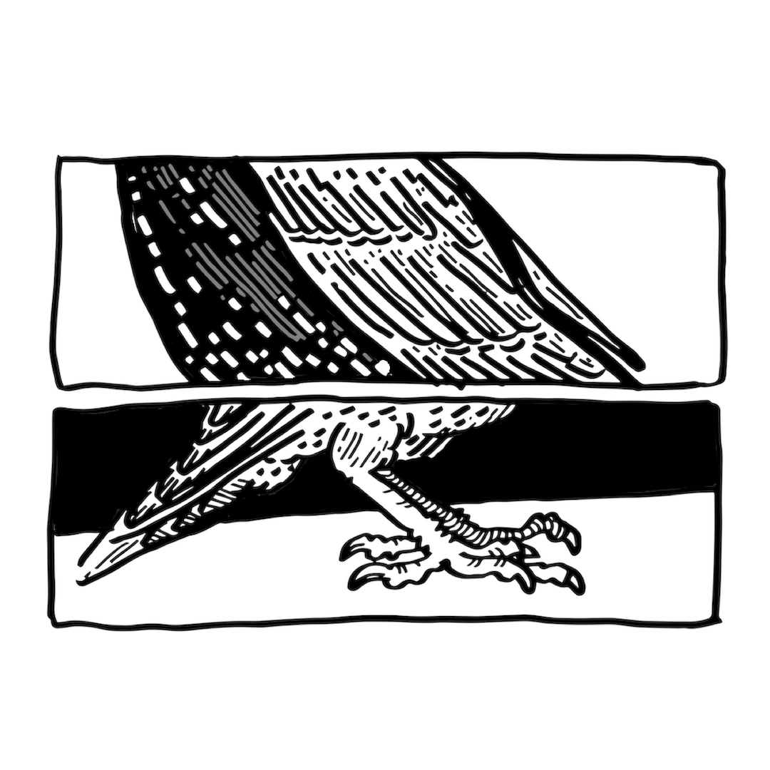 comic art of a starling's wings and legs
