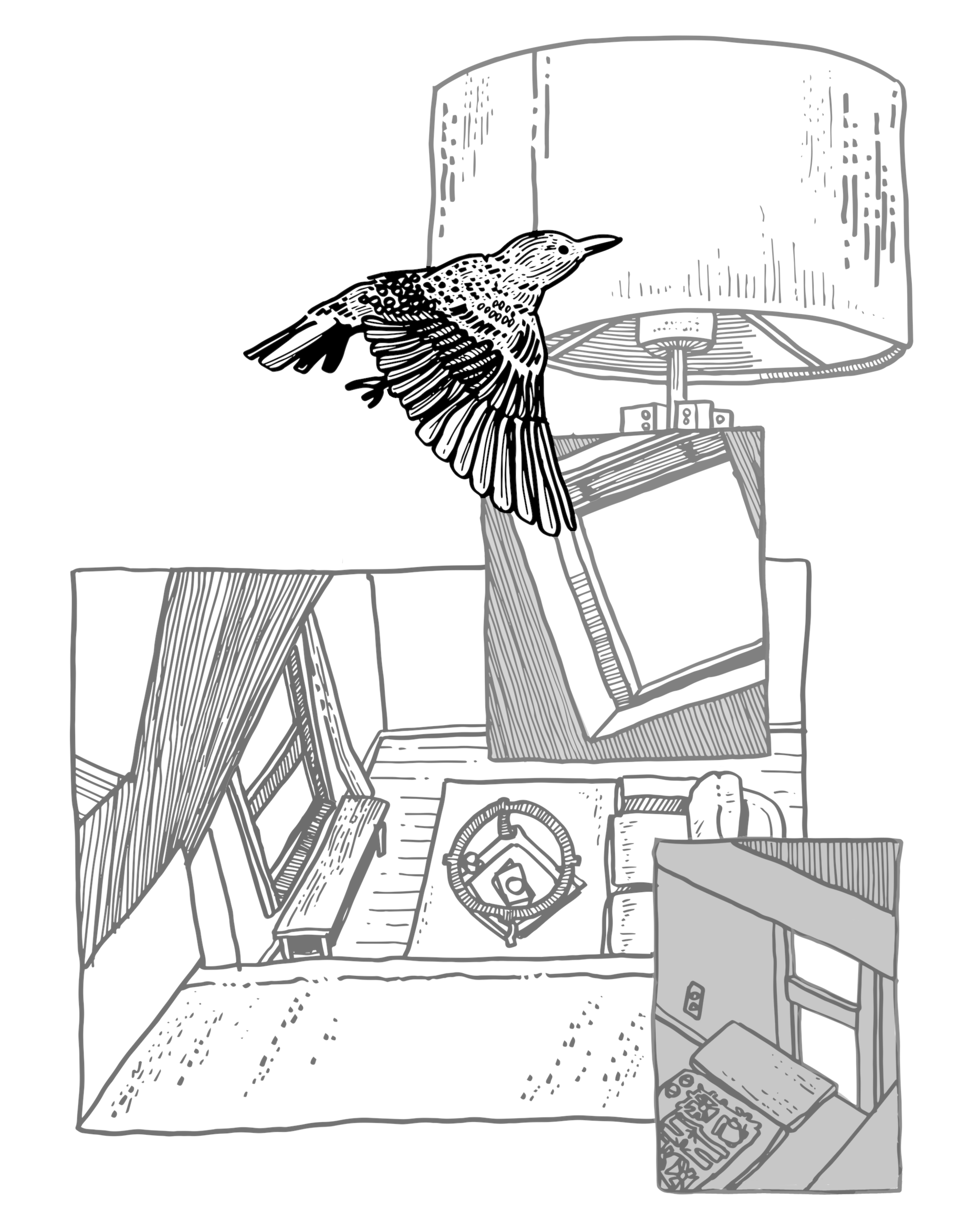 full comics page 3 about how a bird in the house