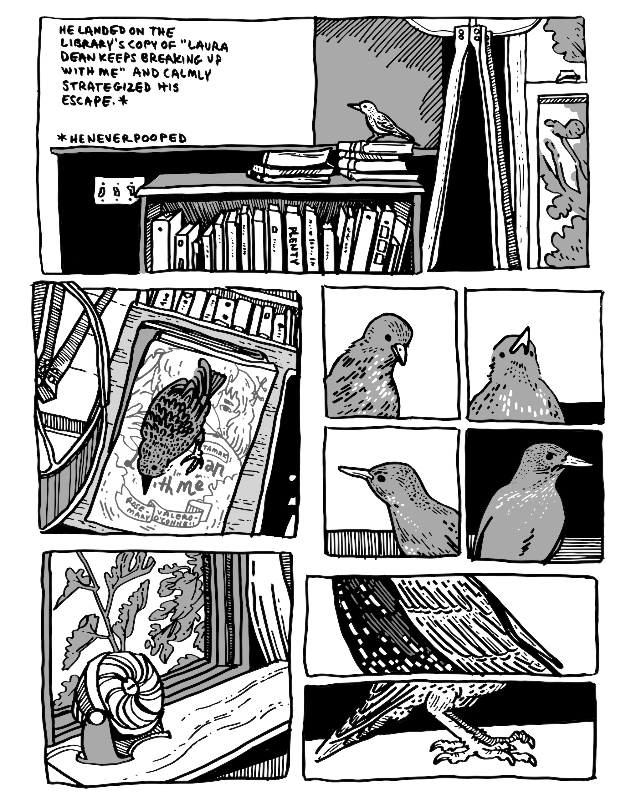 full comics page 4 about DIY wildlife removal